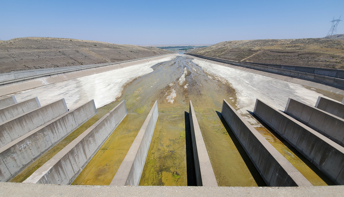 The Main 401(ok) Error Individuals Make