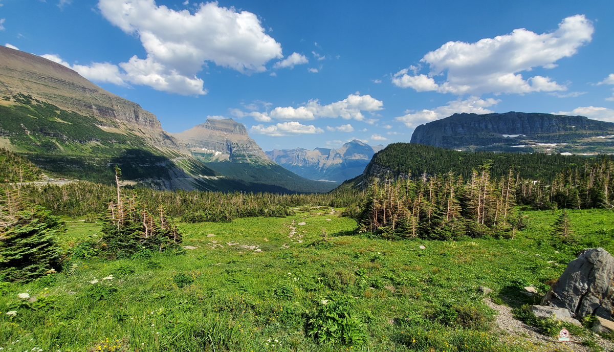 5 Years Retired from Surgical procedure