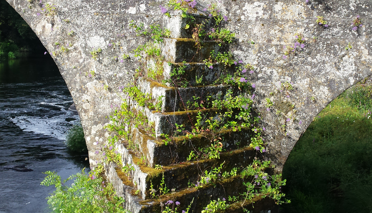 Why I Solely Purchase Brokered Certificates of Deposit