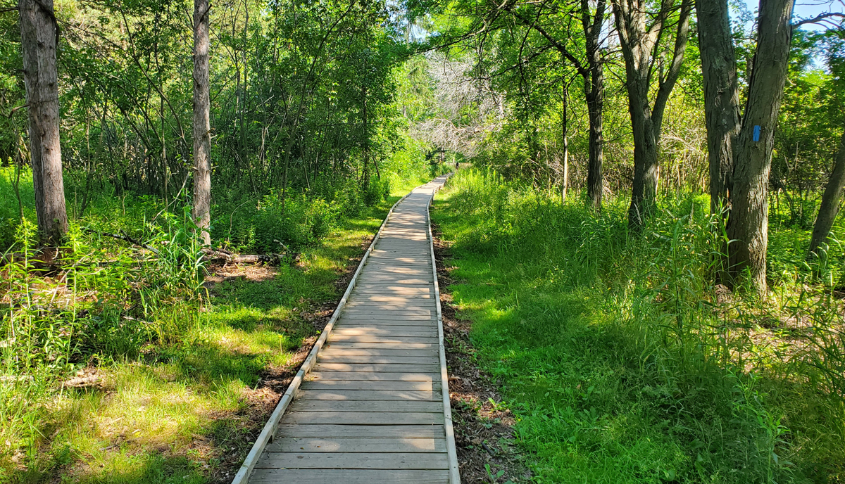 It isn’t the unhealthy issues that maintain us again financially, it’s our good selections that prevail